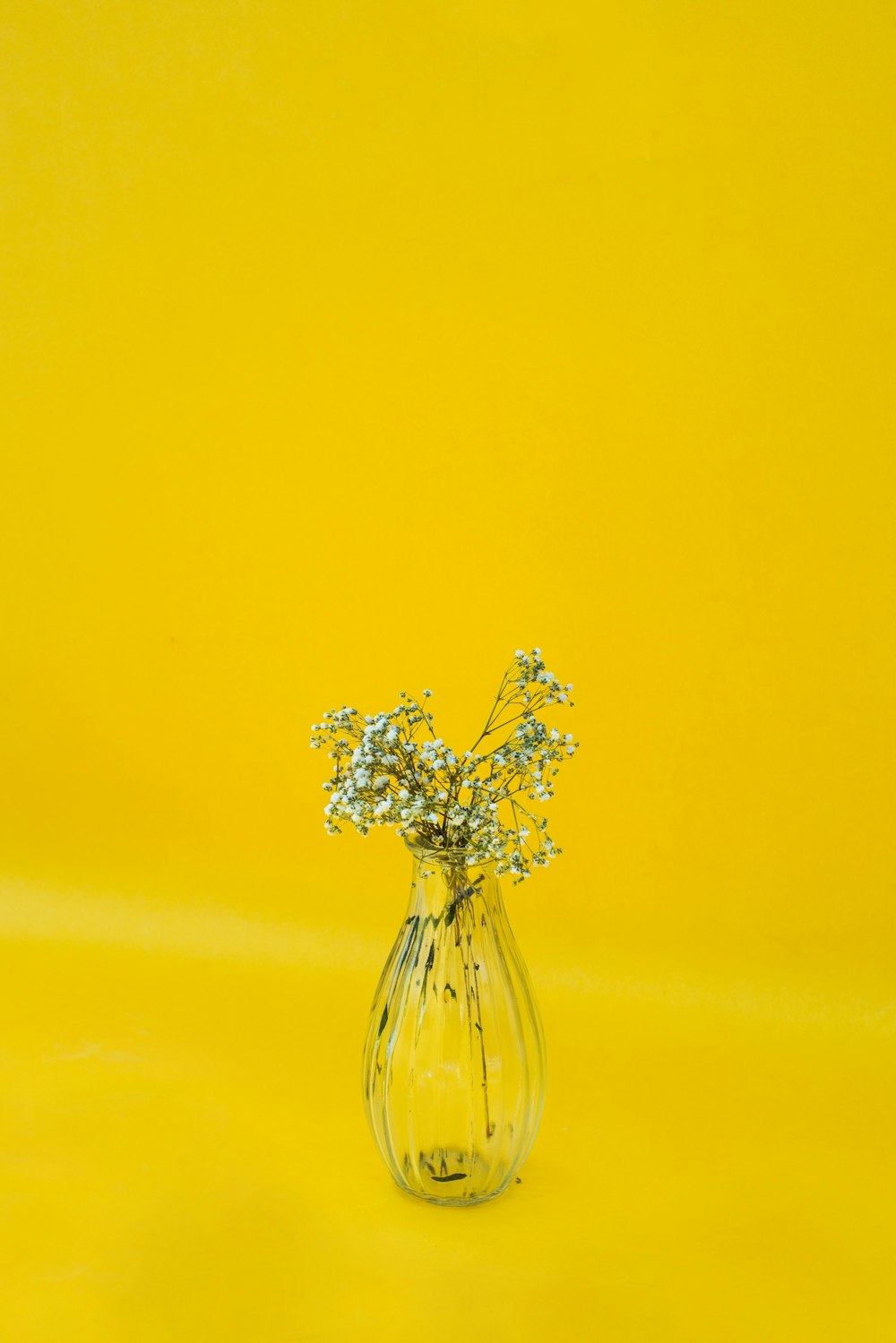 white flowers in clear glass vase