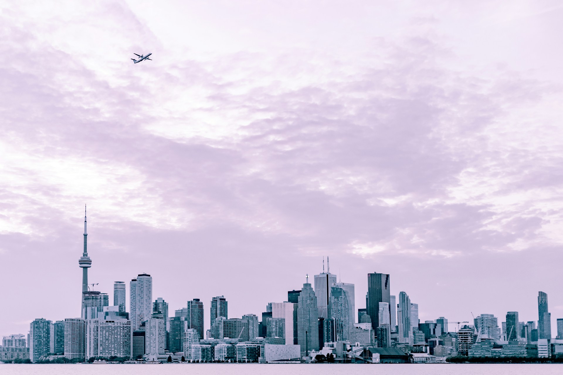 photography of city scape under plane at daytime