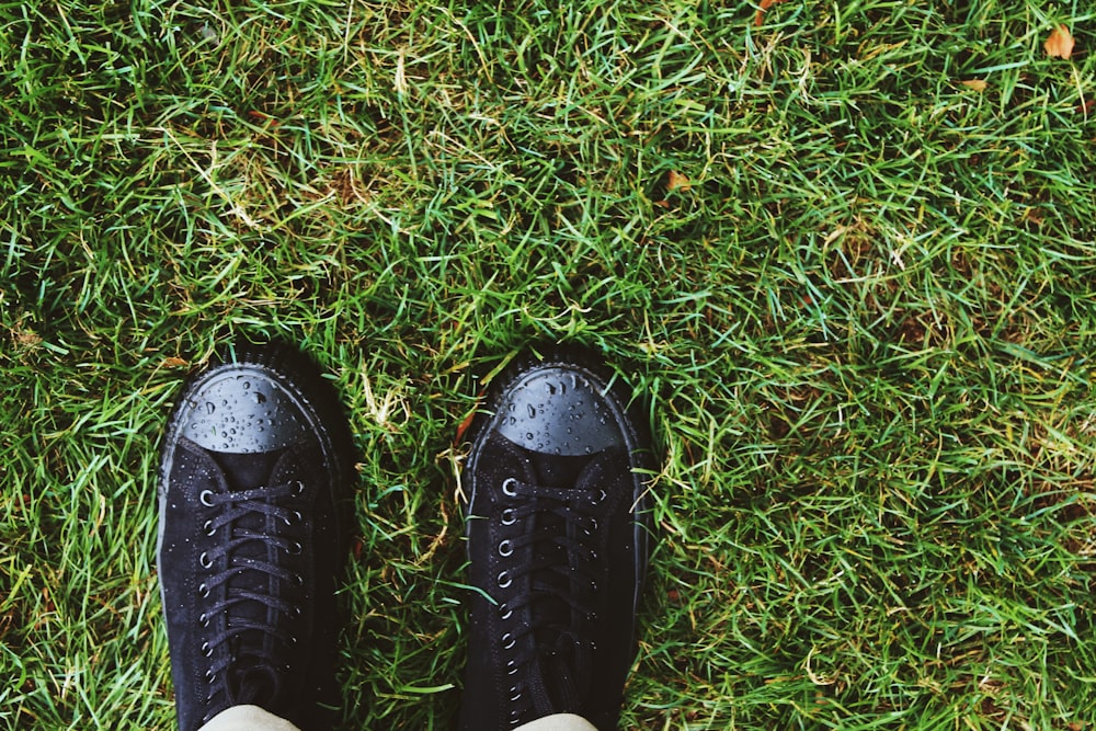 person wearing black low-top sneakers