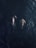 Two whales swimming in the deep blue ocean, captured from an aerial perspective.