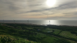 A coastal landscape featuring wind turbines scattered across green fields and hills. The sun is setting or rising over the sea, casting a glow over the water. The sky is partly cloudy with various shades of grey and orange. The overall scene is tranquil and serene, blending natural and man-made elements harmoniously.