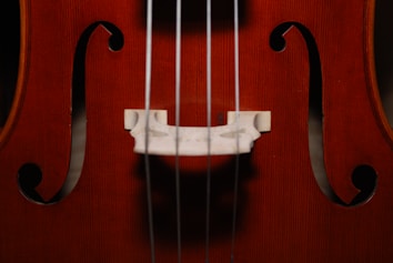 A detailed close-up of a string instrument, specifically the body of a violin or cello. The wooden surface is polished with a rich reddish-brown hue, featuring two elegant f-holes and a light-colored bridge supporting several strings.