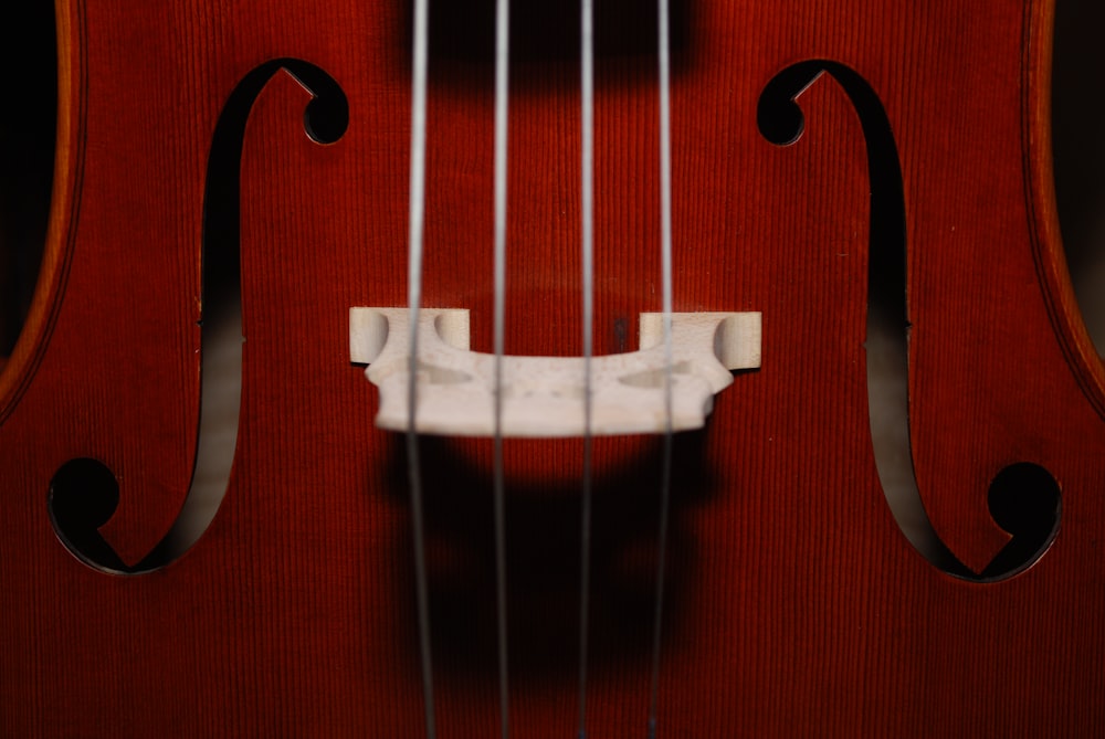 closeup photo of brown stringed instrument