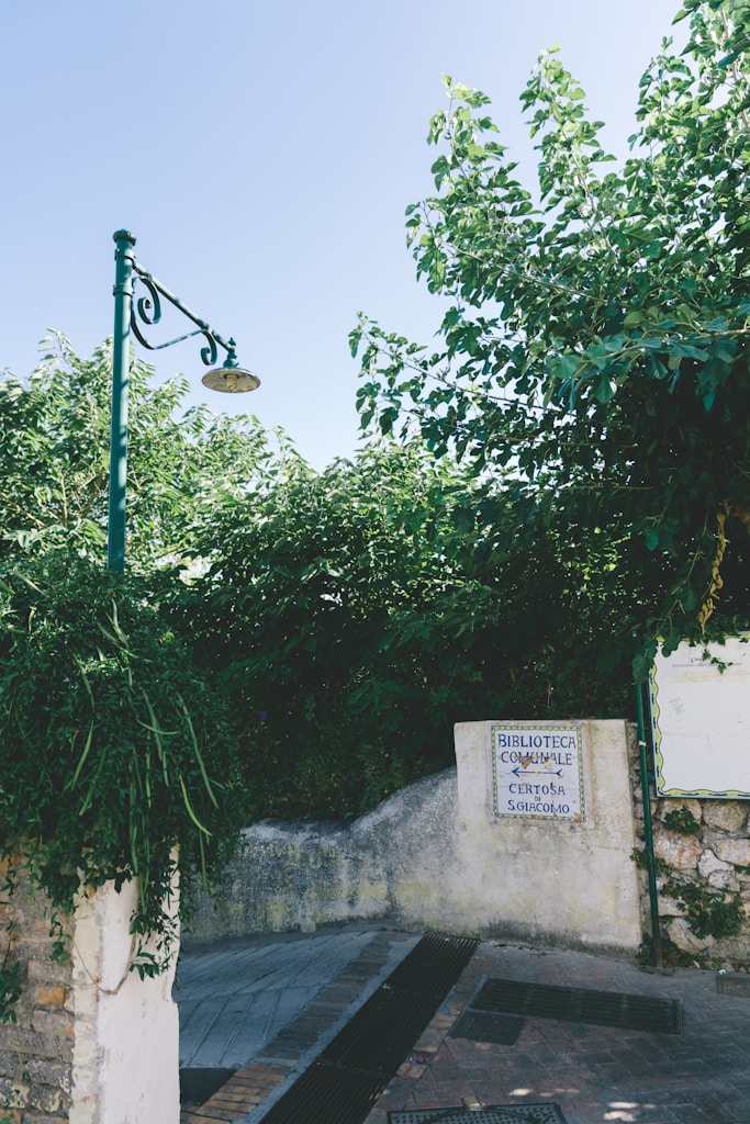 Tour più libro