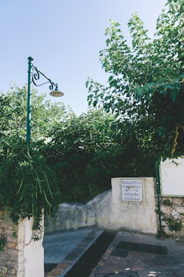 A stone pathway leads to an entrance marked by a sign with the words 'Biblioteca Comunale Certosa S. Giacomo'. Lush greenery and overhanging trees dominate the space, casting shadows on the path. A classic streetlamp with ornate design stands on the left, complementing the rustic charm of the scene.