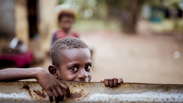 boy holding corrugated sheet