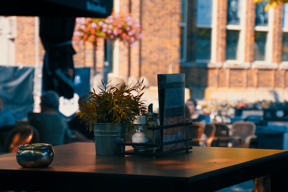 a potted plant sitting on top of a wooden table