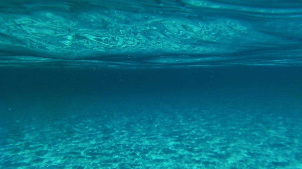 closeup photo of body of water