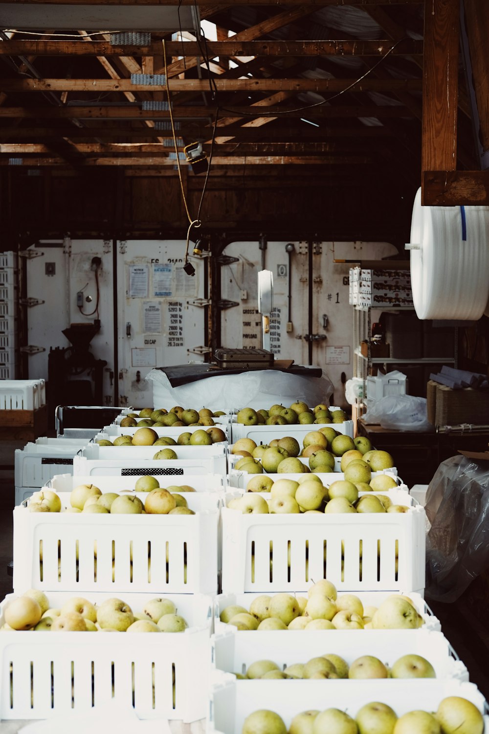 crate of apple lot