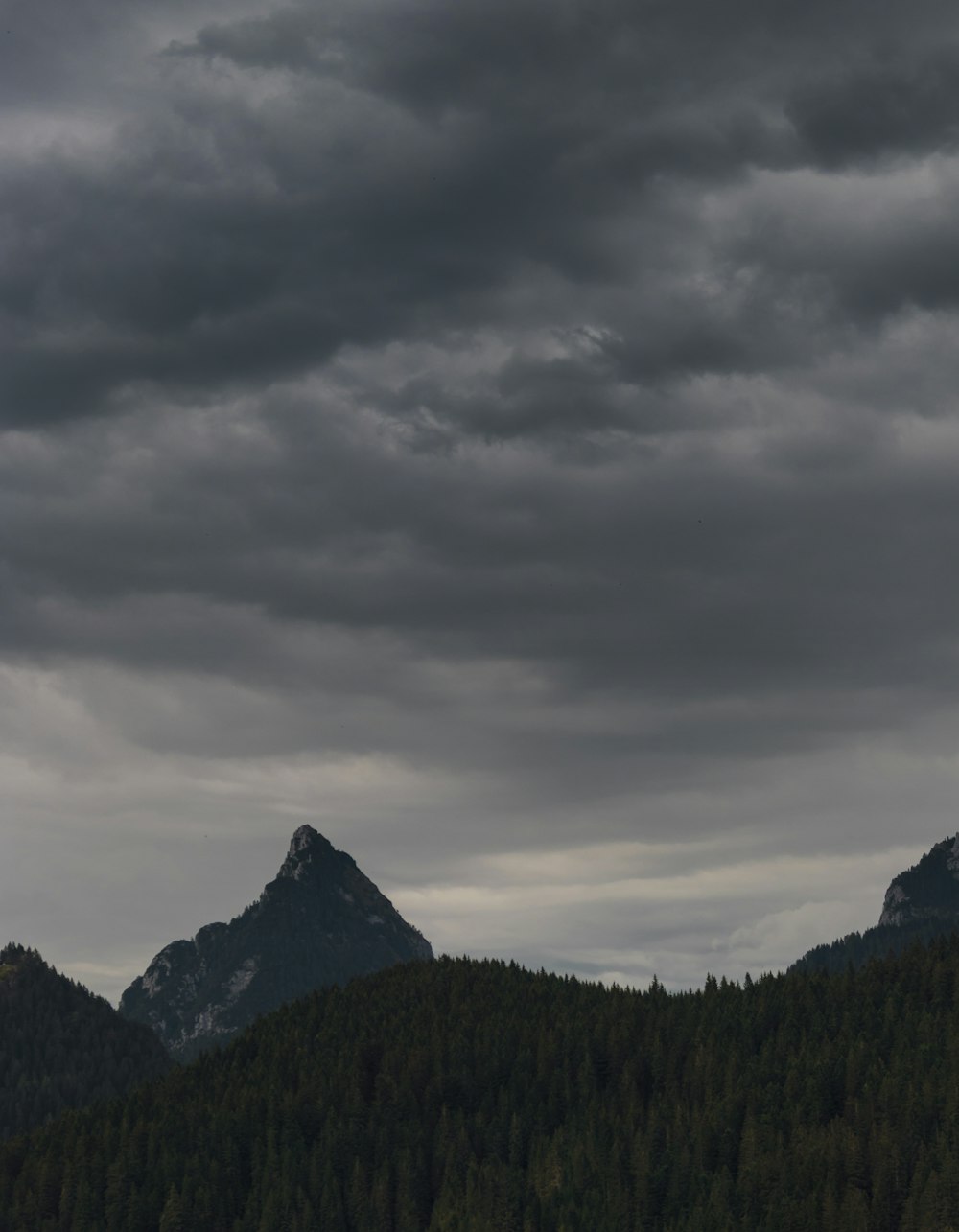 pine trees on mountain slope under dark clouds