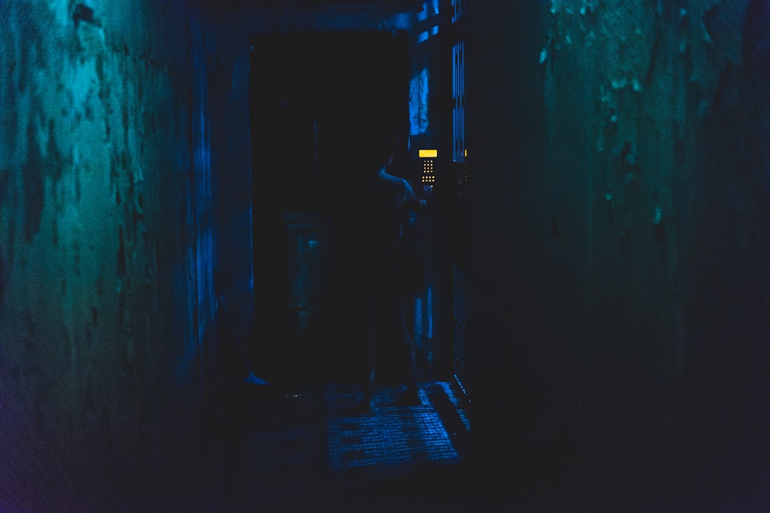 a dark hallway with a person standing in the doorway,