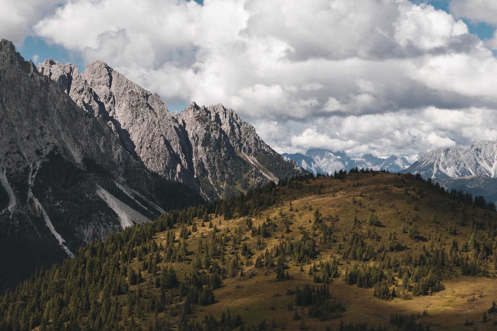 Foto vista panorâmica da montanha de rocha cinza e tress verde durante o dia
