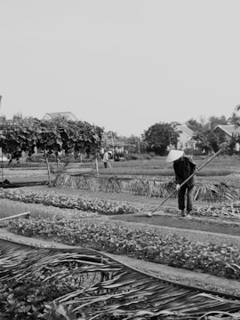 A person wearing a traditional conical hat is working in a vegetable garden. The garden features multiple rows of plants and vegetables. In the background, another person can be seen working. There are also some structures made of natural materials, possibly supporting climbing plants.