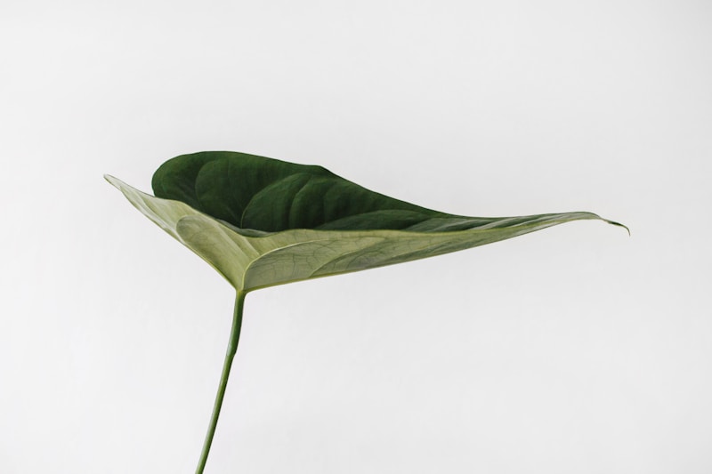 Greenery