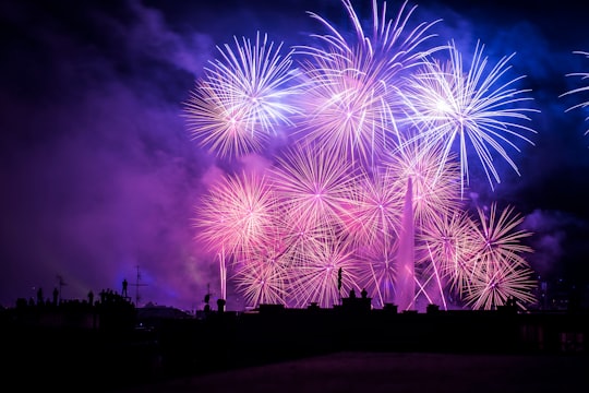 silhouette of buildings with purple and pink fireworks display in Geneva Switzerland