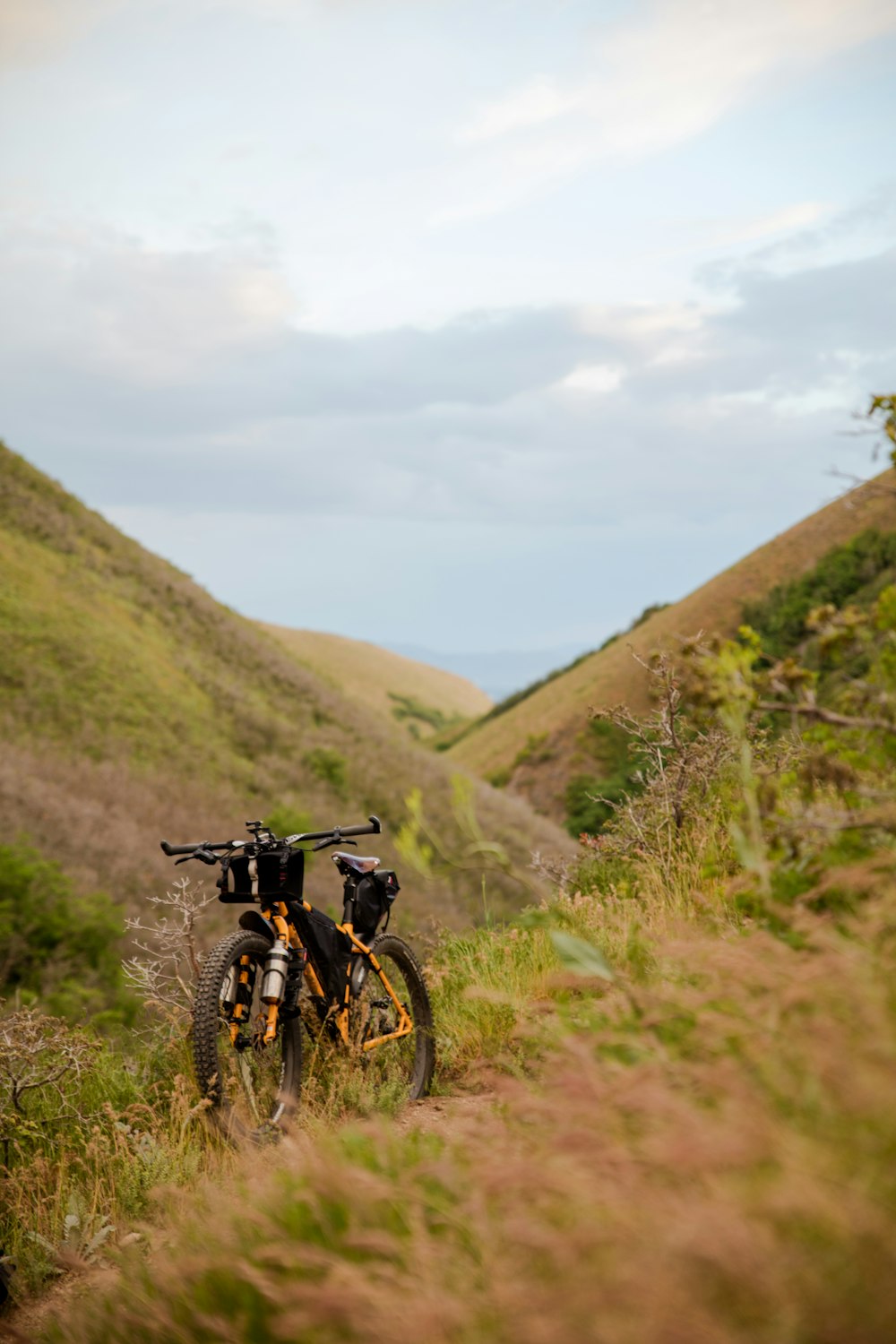 bicicletta da montagna nera e gialla su erba verde