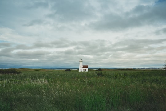 white lighthouse surrounded by grass field in Prince Edward Island Canada