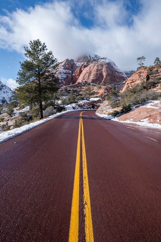 brown asphalt road surrounded by rock mountain during daytime in Zion National Park United States