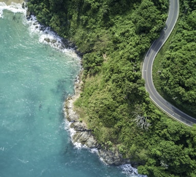 bird's eye photography of road near near body of water