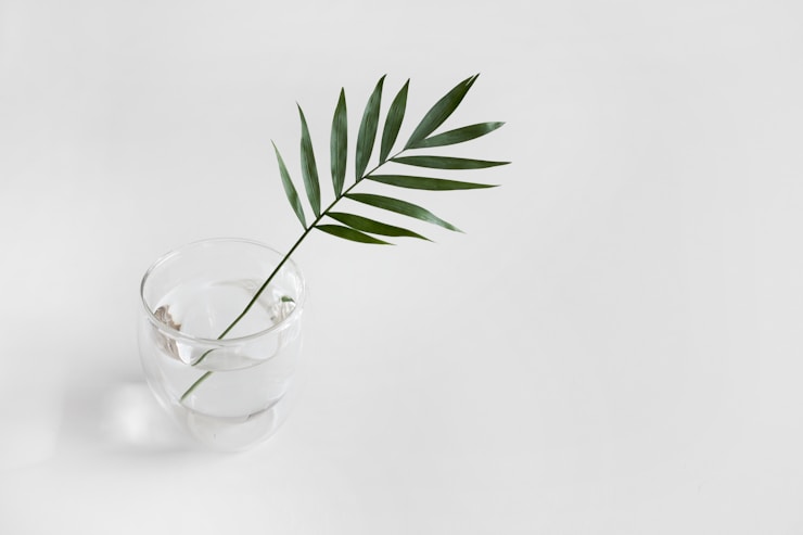 Leaf with glass water