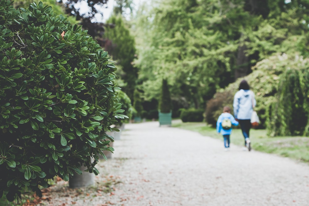 woman holding toddler while walking along concrete pathway surrounded by trees