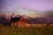 A rustic red barn set against the backdrop of Idaho's rolling mountains at sunset.