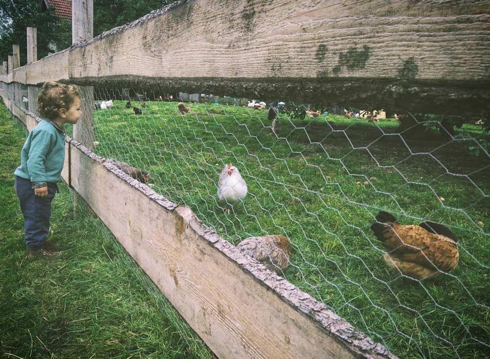 girl looking at hen