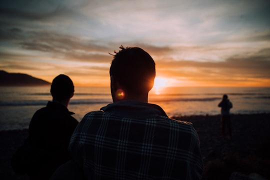 silhouette of tree people on shore during sunset in Kaikoura New Zealand