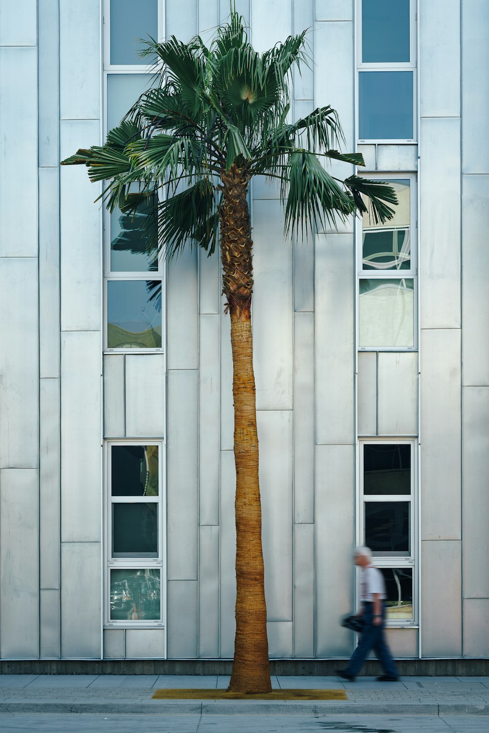 man near palm tree