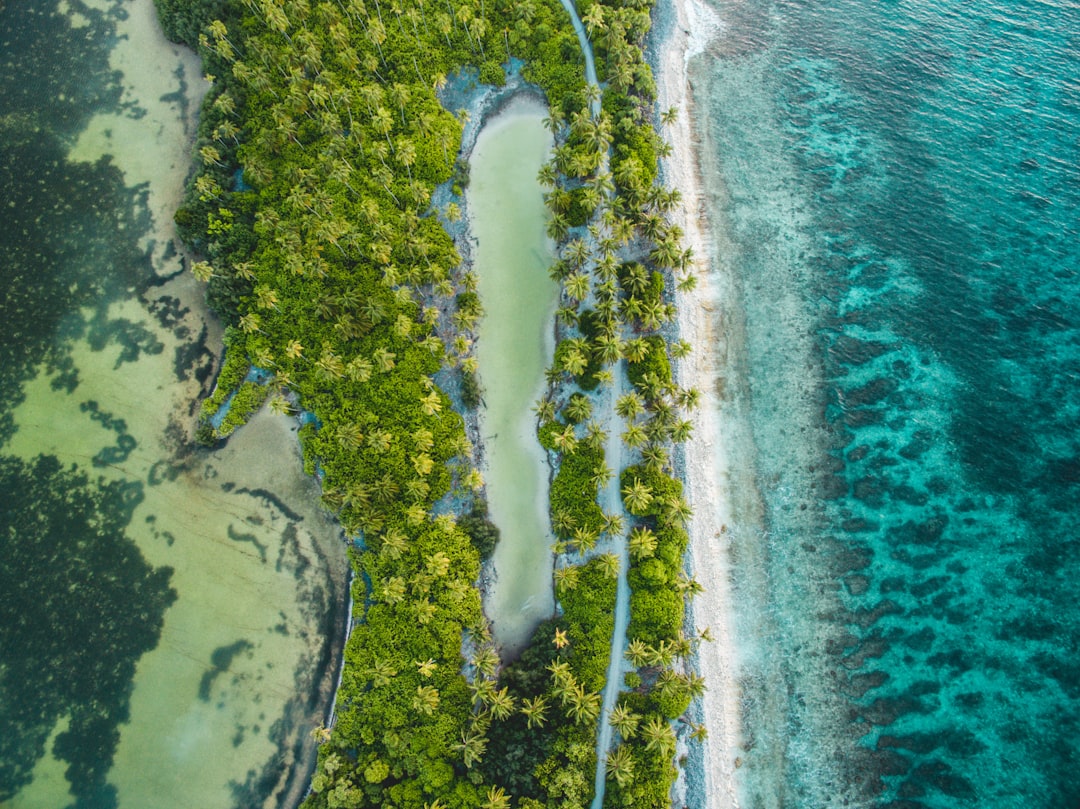 Forest photo spot Koattey Magu Maldives