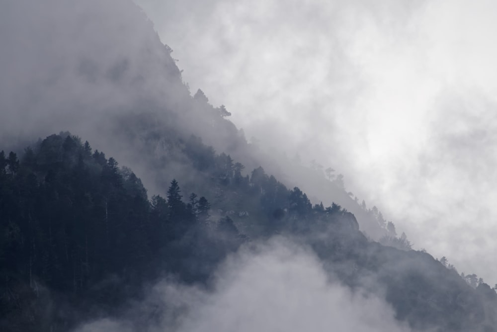 montagna circondata dalla nebbia