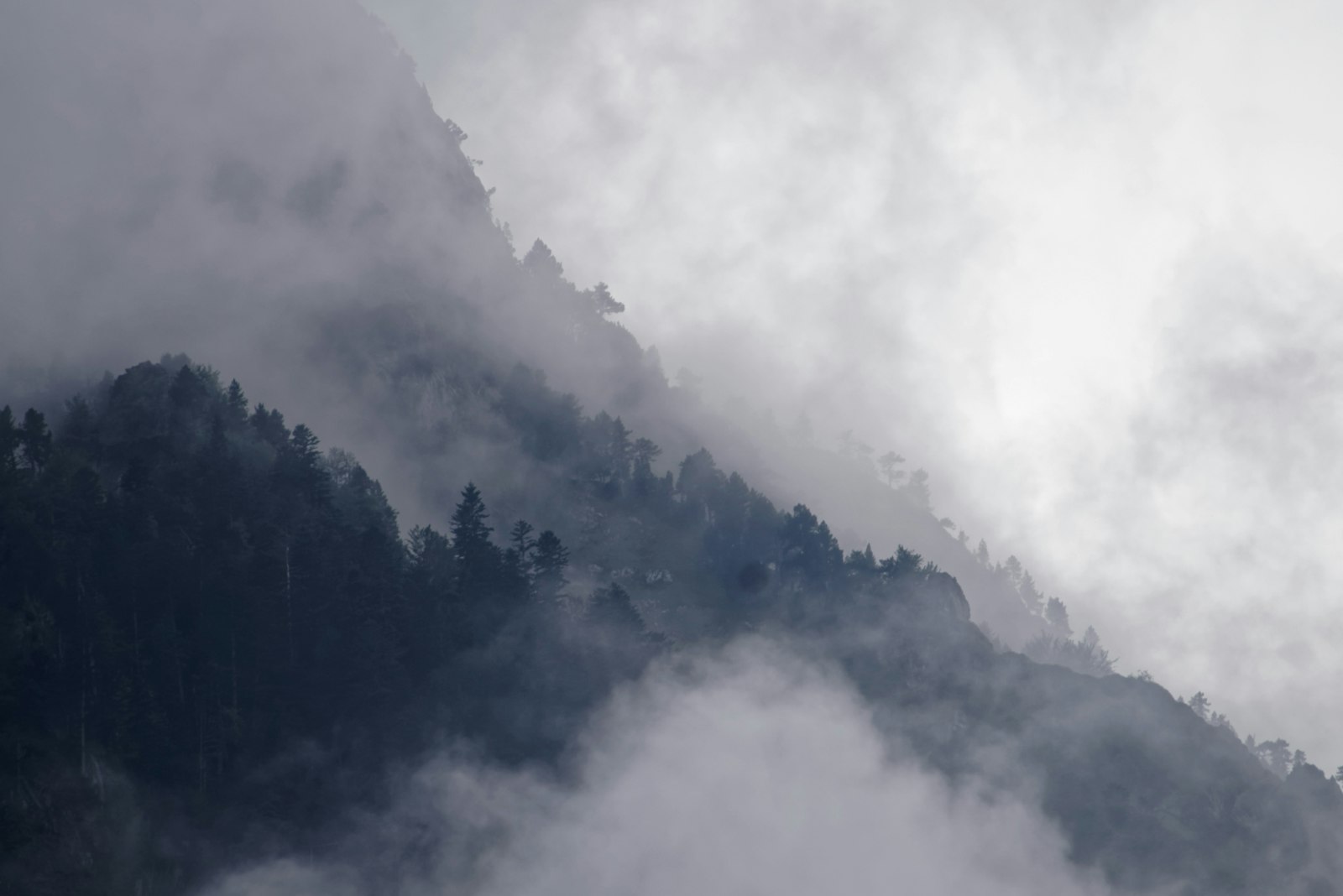 Namdapha National Park: Clouded Leopards and the Eastern Frontier — wildlife photography article cover