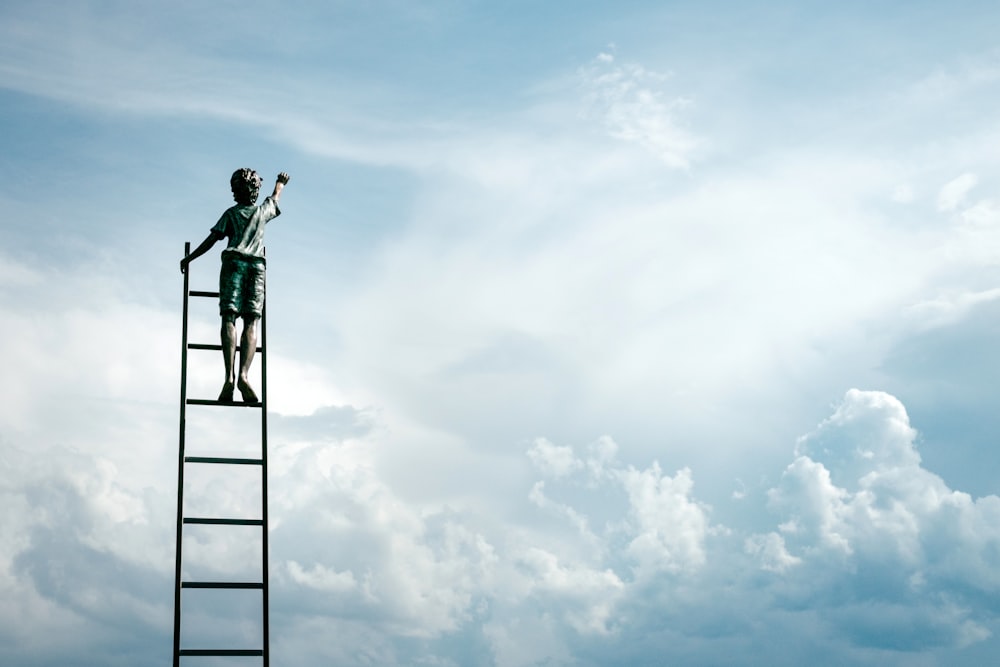 A person standing on top of a ladder in the clouds.