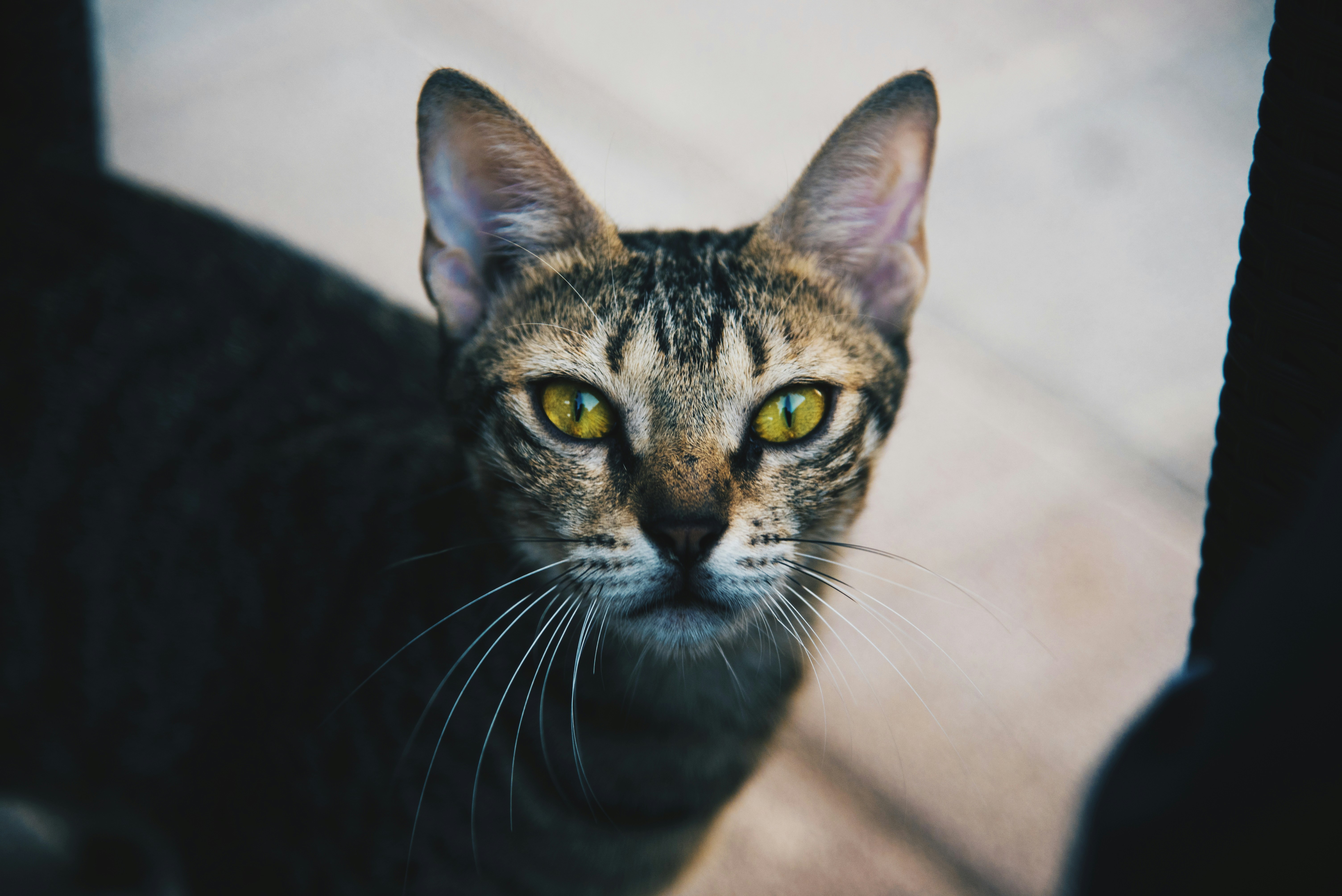 photo-1504257844992-9f4df7d93ebe?ixlib=rb-1.2.1&ixid=eyJhcHBfaWQiOjEyMDd9&auto=format&fit=crop&w=1500&q=80