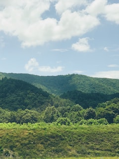 A serene landscape showcasing a lush green forest with a clear blue sky, symbolizing environmental sustainability.