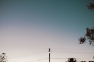 A clear sky transitions from dark blue at the top to a lighter hue near the horizon. A single utility pole stands against the sky, with visible wires extending across the image. Trees with sparse foliage frame the scene on both sides.