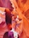 A vibrant landscape of smooth, flowing rock formations with rich shades of red and orange. Natural light filters through the crevices, highlighting the intricate textures and curves of the sandstone. Two people are visible at the bottom, emphasizing the grandeur and scale of the canyon.