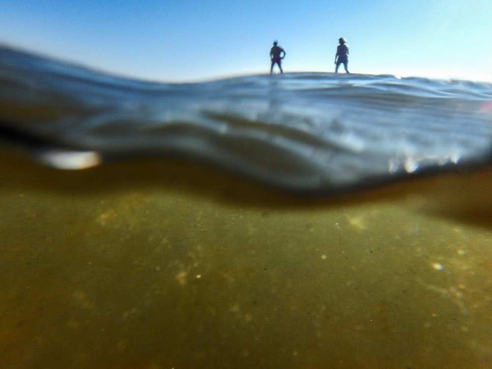 underwater photography of two people on surface