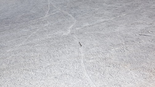 aerial photography of gray ground