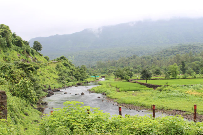 A serene landscape behind The Empress, with flowing rivers and fertile fields.