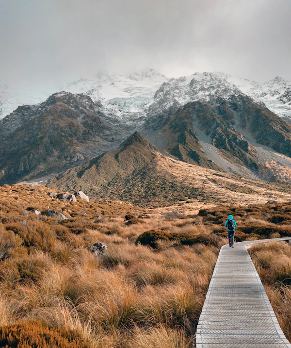 A walker on a boardwalk track below mountains