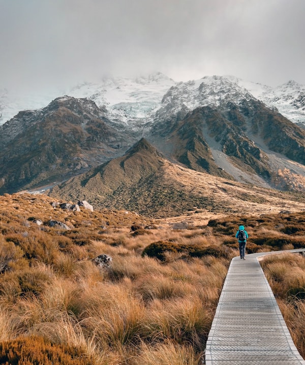 How To Get Fit In A Day? A Hike-ola Up A Mountain!