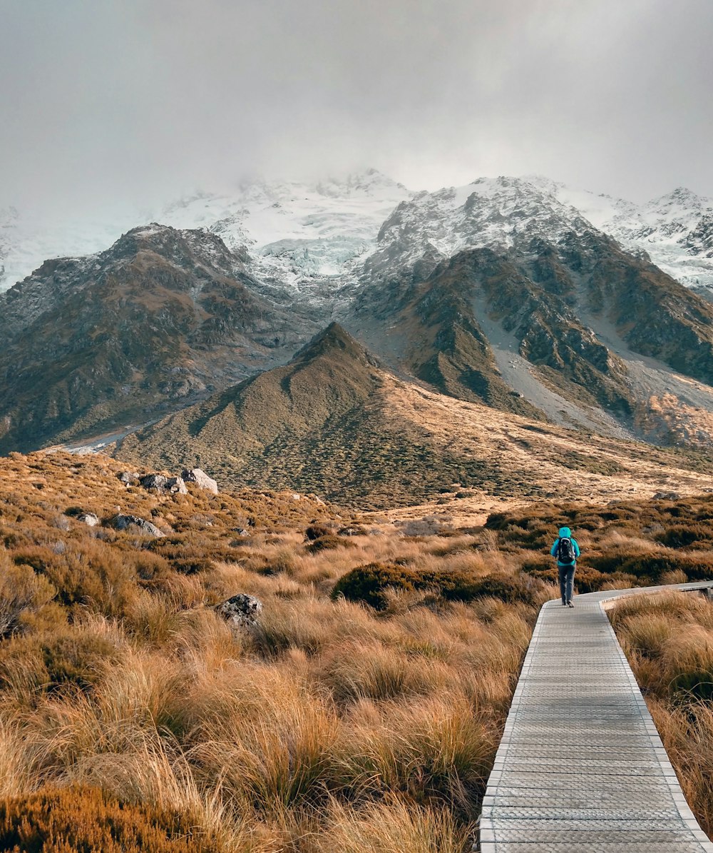 person walking on wooden pathway near mountain