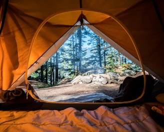 orange camping tent near green trees