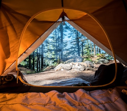 orange camping tent near green trees