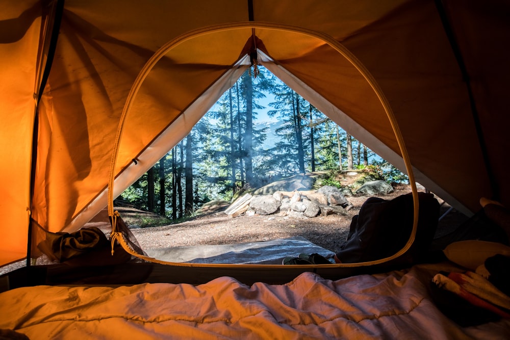 tenda da campeggio arancione vicino agli alberi verdi