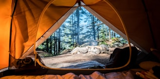 orange camping tent near green trees