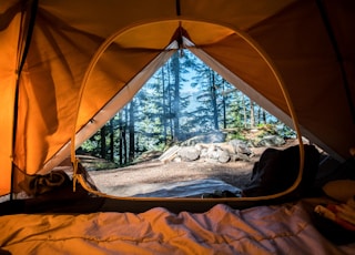 orange camping tent near green trees