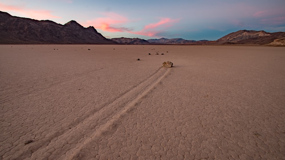 moving stone on sand under cloudy sky during daytime