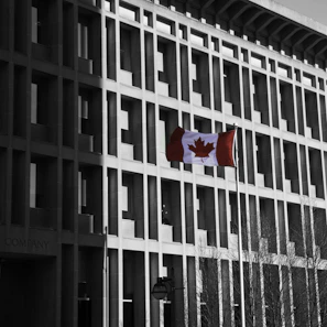 A professional office scene showing diverse people collaborating with a Canadian flag visible outside the window